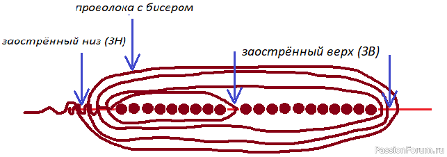 Бокаловидные розы