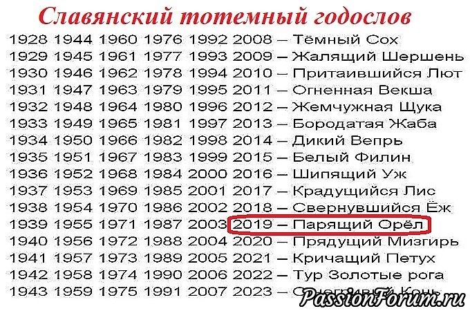 Наступающий 2019 год — это год парящего орла по славянскому календарю