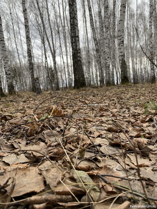 Серый лист календаря