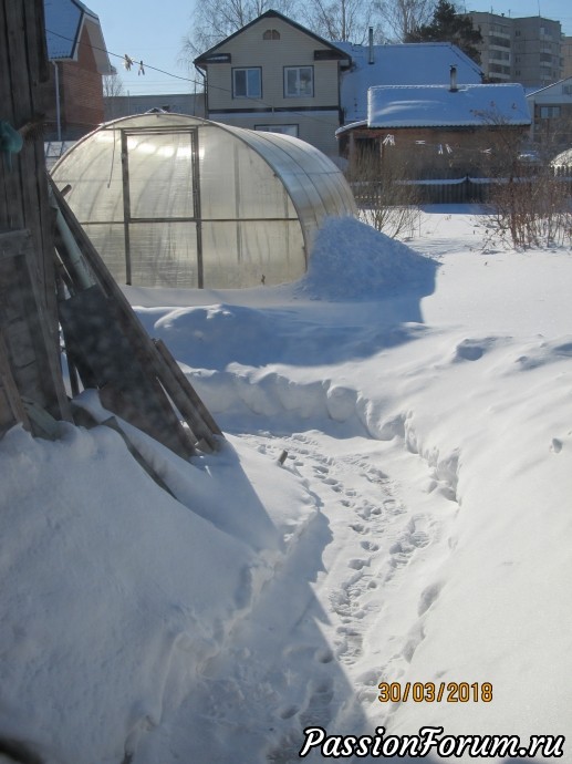 Огородные планы и действительность