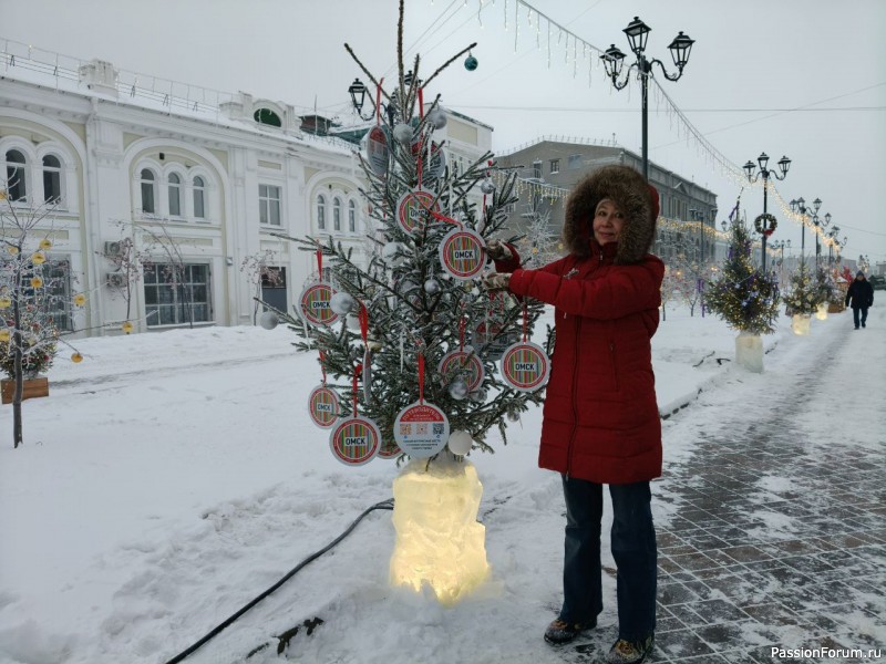 Предновогодняя поездка в Омск