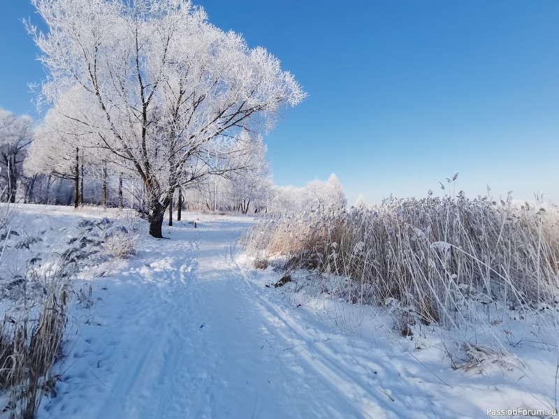 Фотозарисовки