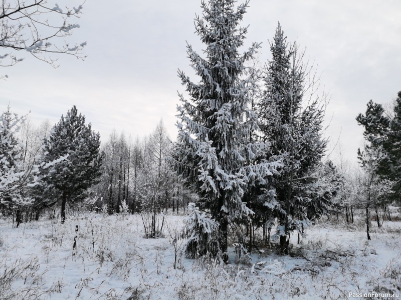 Фото зарисовки декабря