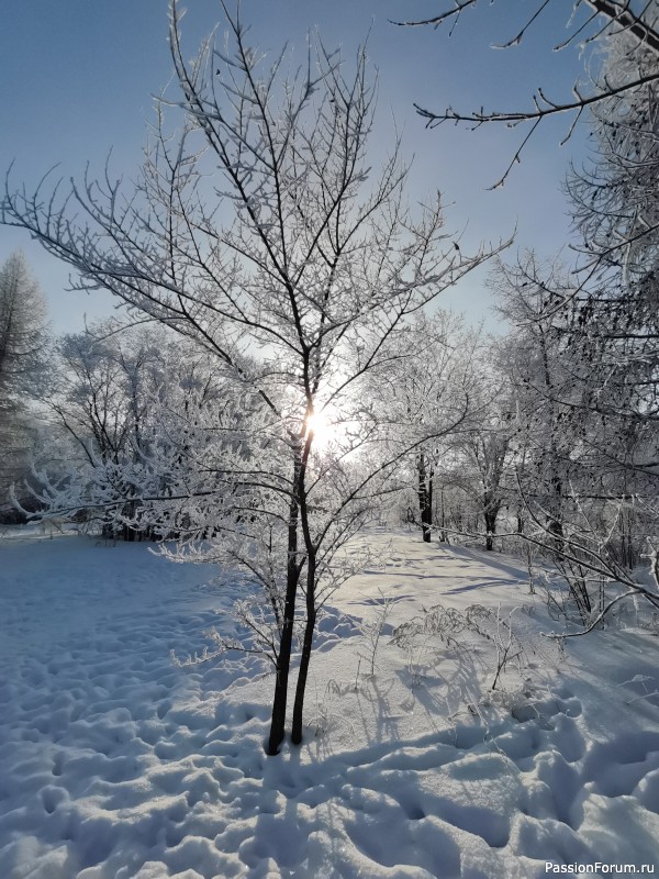 Последний день уходящего года