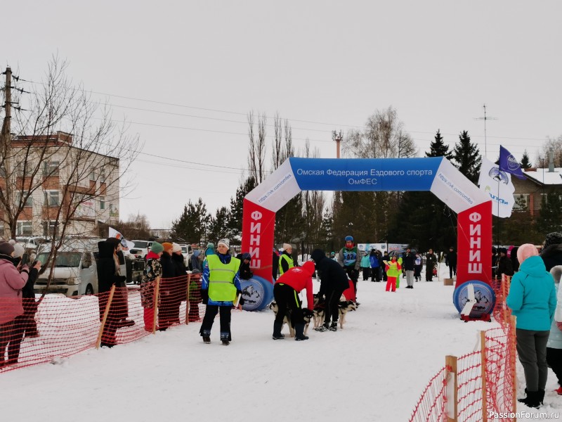 Гонки на упряжках