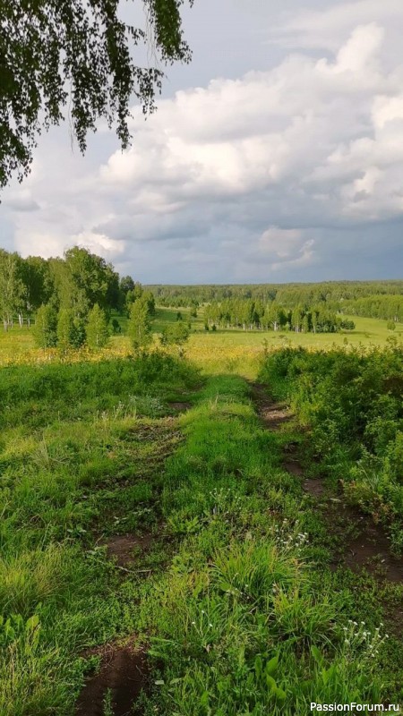 Скала Альпинист