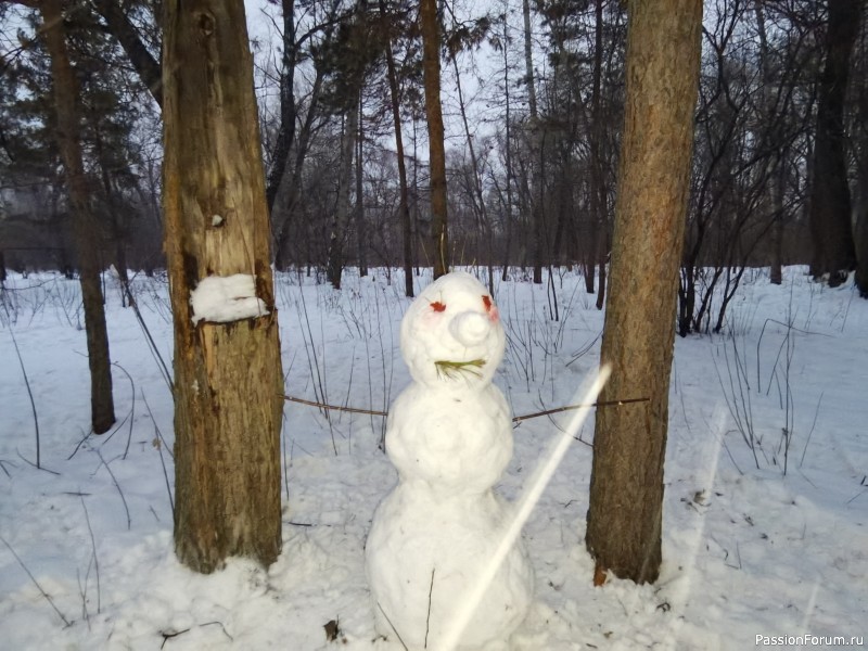 Парад снеговиков