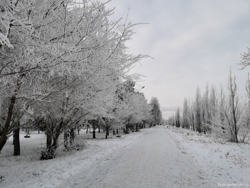 Фото зарисовки декабря