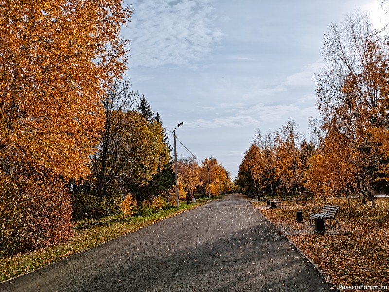 Уж скоро ляжет снег