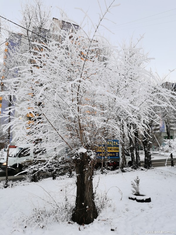 Фото зарисовки декабря