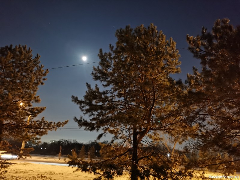 Фото зарисовки декабря