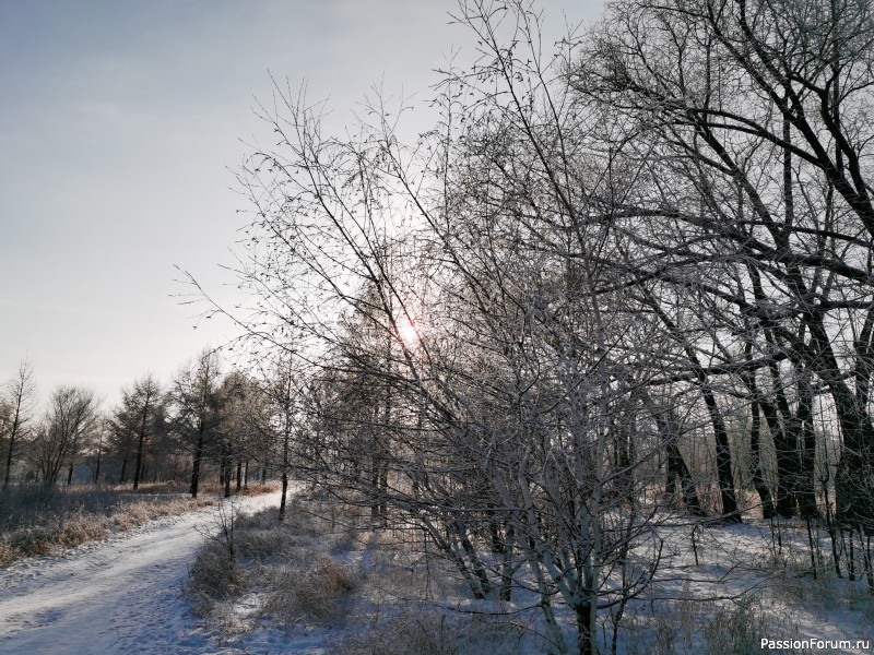 Фото зарисовки декабря