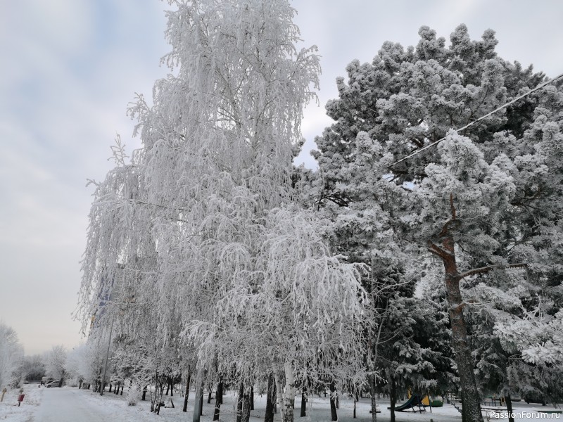 Фото зарисовки декабря