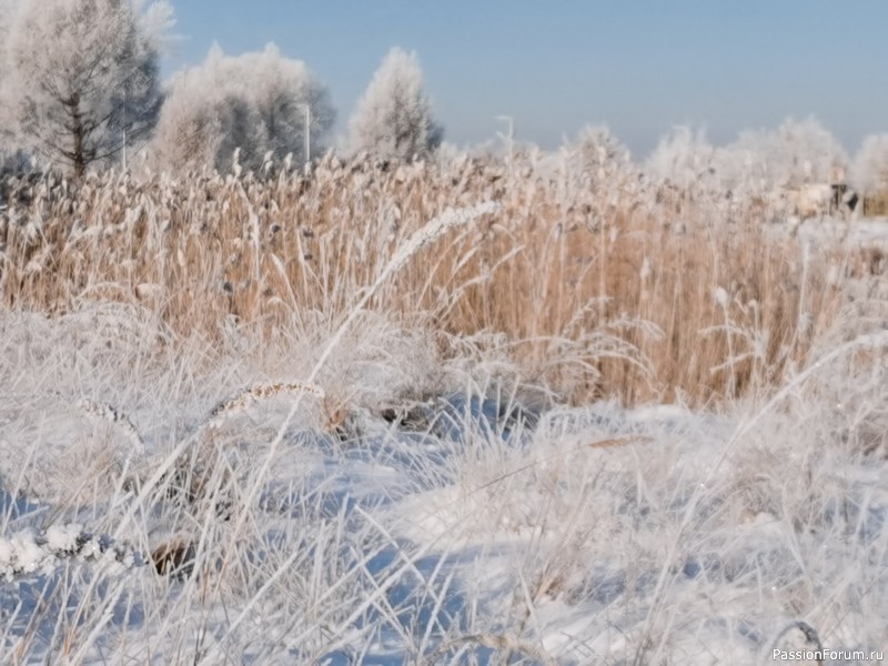 Фотозарисовки