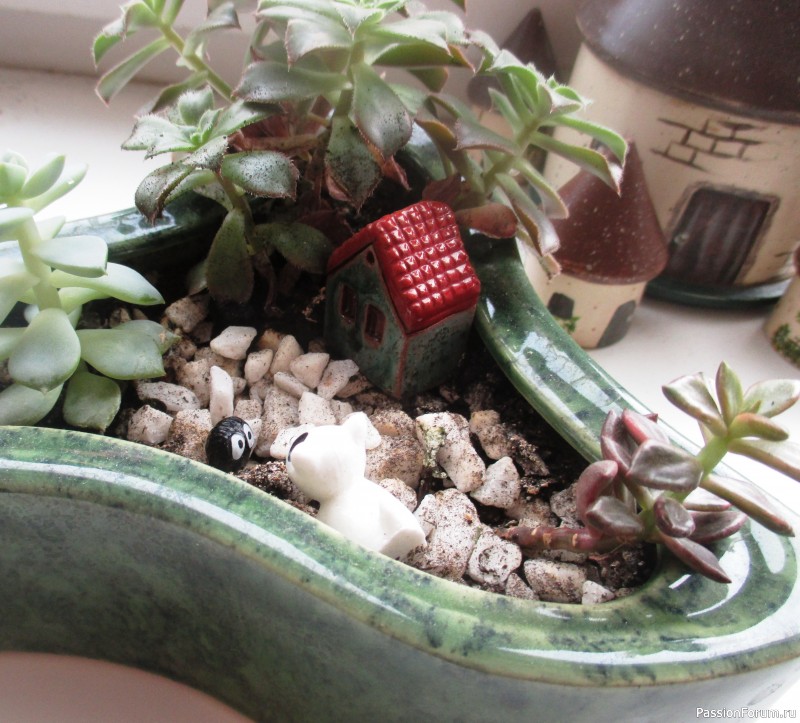 Композиции с суккулентами