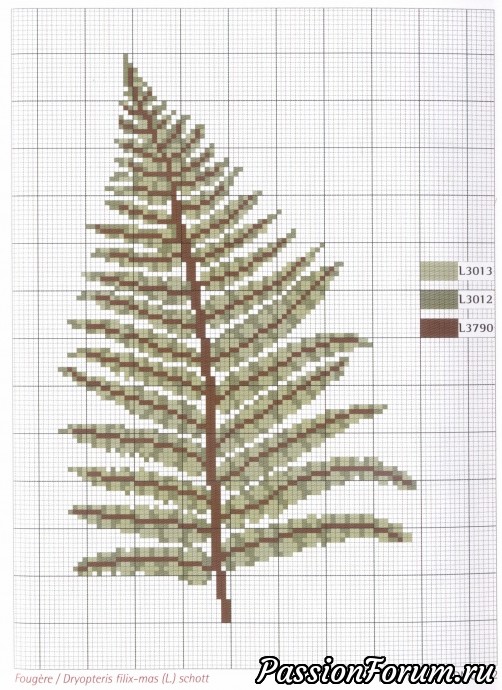 Папоротник вышивка схема