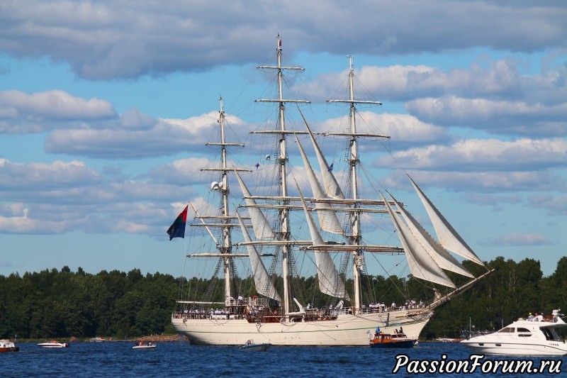 The Tall Ship Races