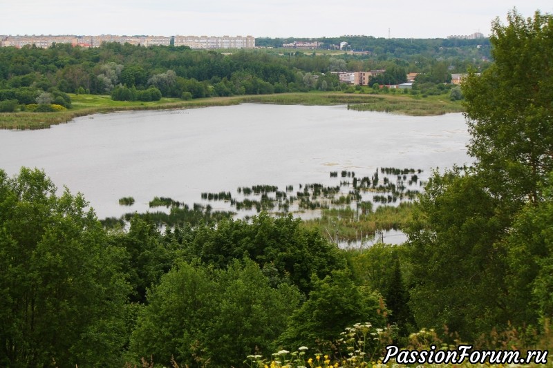 Орнитологическая экскурсия.