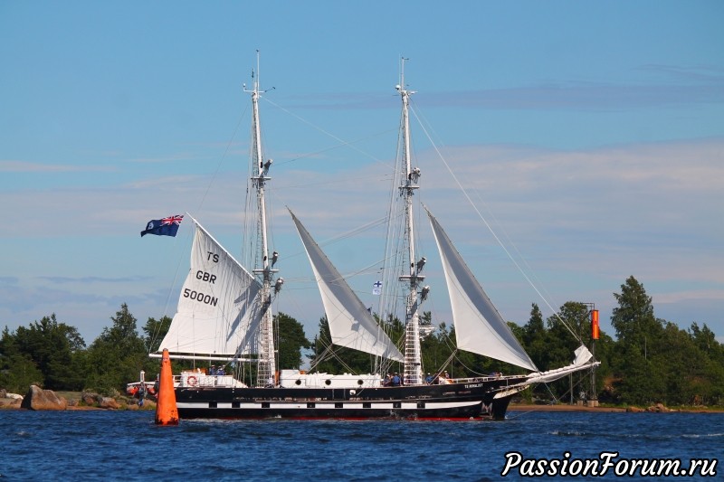 The Tall Ship Races