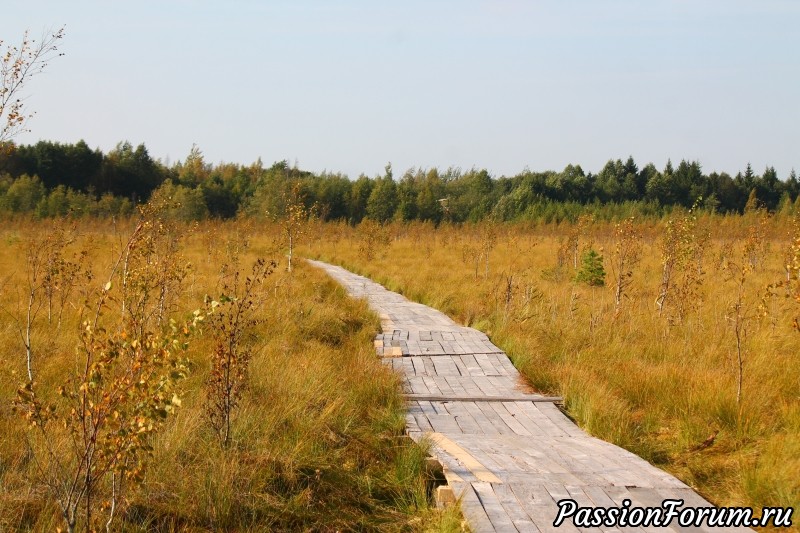 Как мы в горах погуляли :-) часть 1