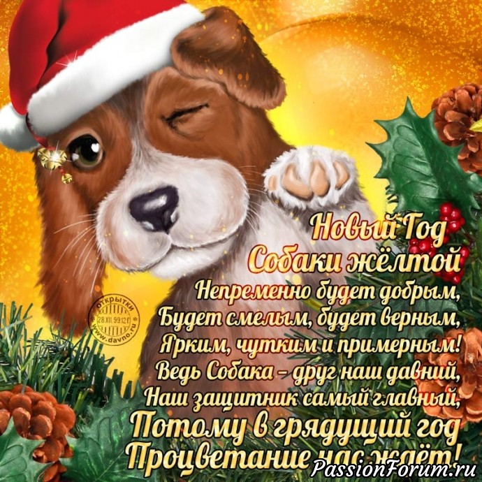 С Новым Годом, форумчанки!