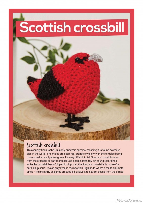 Книга "10 More British Birds to Crochet"