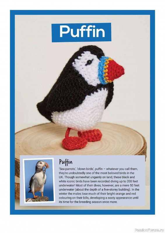 Книга "10 More British Birds to Crochet"