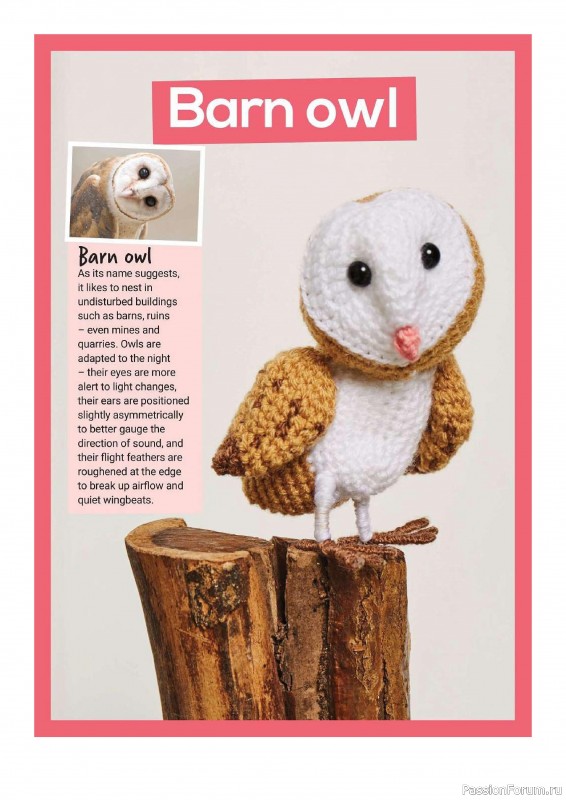 Книга "10 More British Birds to Crochet"