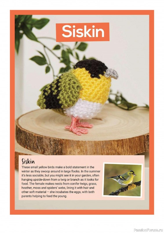 Книга "10 More British Birds to Crochet"