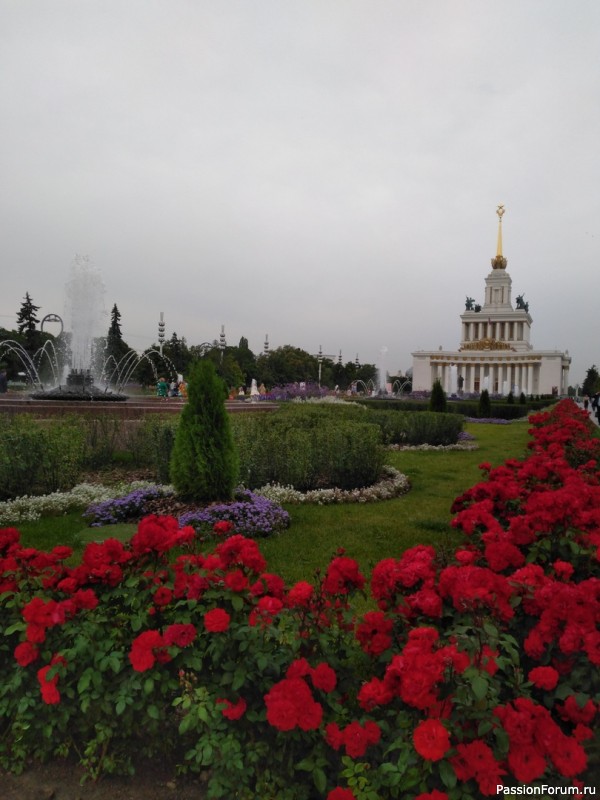 Сладости и радости