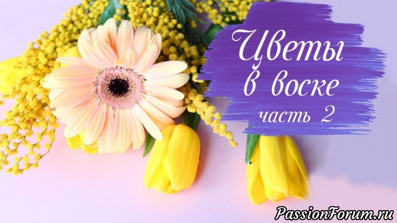 БОЛЬШЕ НЕ НУЖНО ВЫБРАСЫВАТЬ ЦВЕТЫ! Тюльпан, гербера и мимоза.