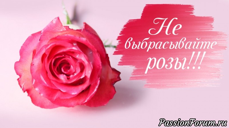 БОЛЬШЕ НЕ НУЖНО ВЫБРАСЫВАТЬ ЦВЕТЫ! Как продлить жизнь цветам!