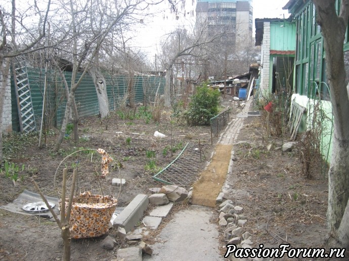 Повесть "Гимн Природе" в исполнении Бабушкиного сада. Глава 4. Катя Курская