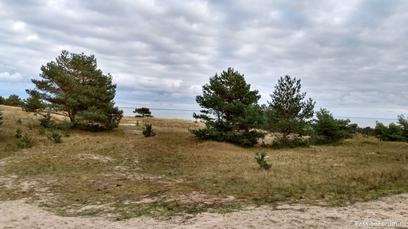 Отдых в Зеленоградске