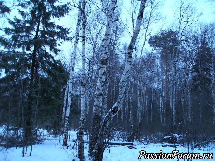 Всех с Рождеством Христовым, мои дорогие!