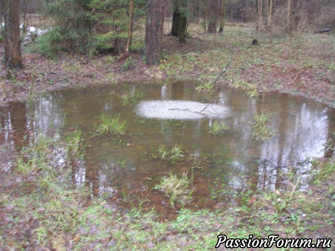 Однажды, в бесснежную зимнюю пору...