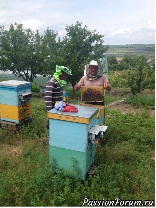 Ну некогда мне рукоделками заняться. Простите