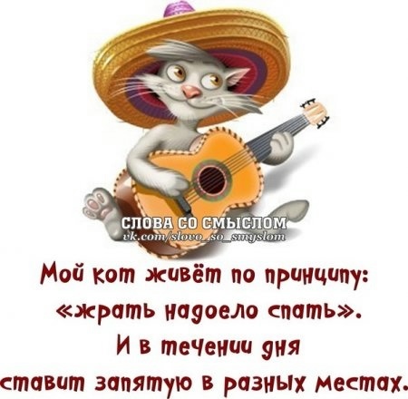 Хорошего настроения и прилива сил!!!