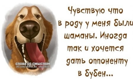 Хорошего настроения и прилива сил!!!
