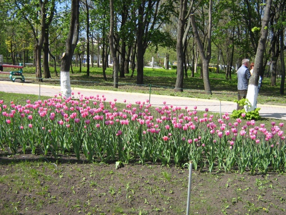 А вот такая красота у нас в парке!